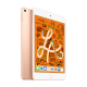 Comprar iPad Mini Dorado Apple Donostia San Sebastian SICOS