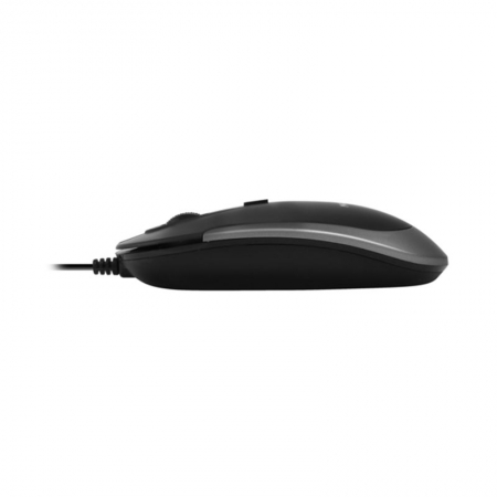 Ratón USB-C negro para Mac