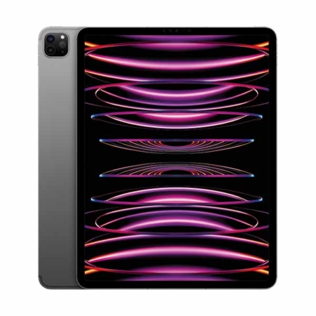 SICOS Apple iPad Pro 12.9" Renting Gris Espacial